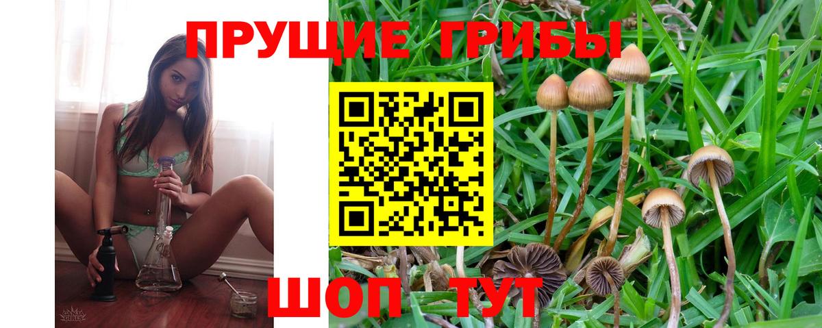 Галлюциногенные грибы Psilocybe  Псилоцибиновые грибы мицелий  Вход с VPN  Карабулак 