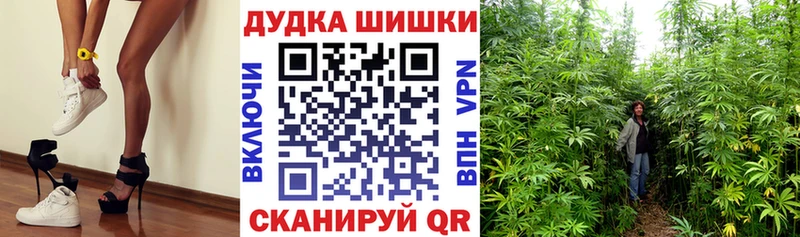Каннабис OG Kush Карабулак